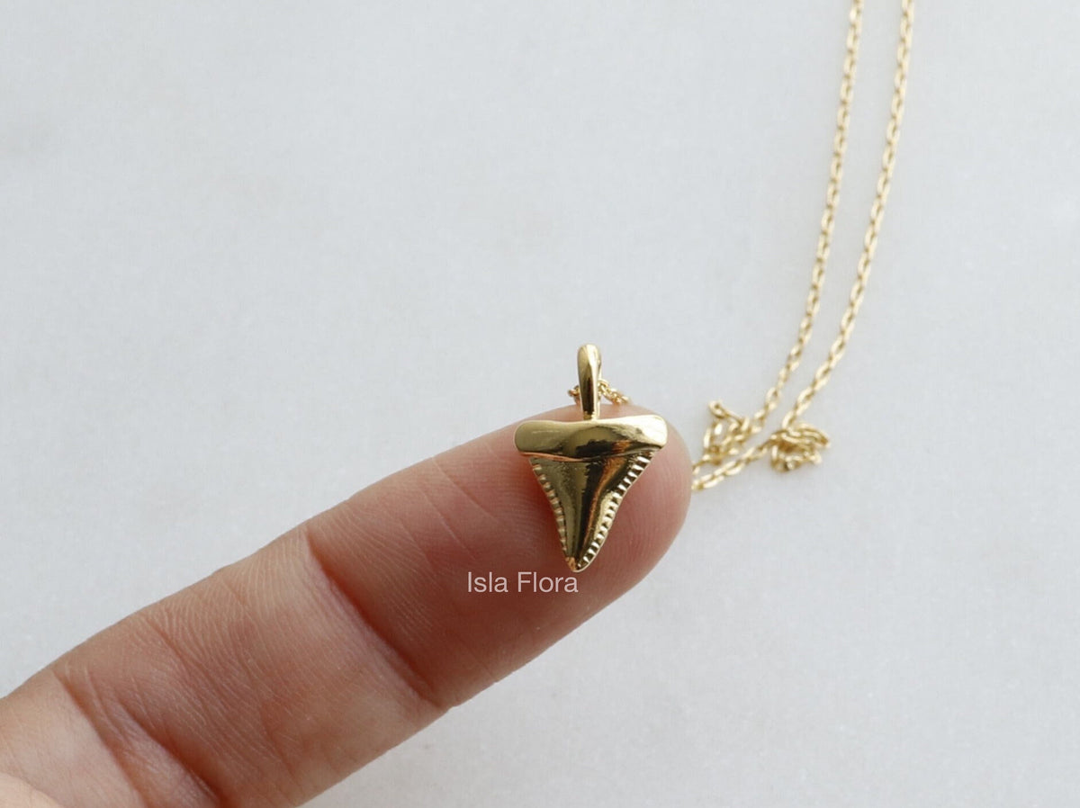 Isla Flora Dainty Shark Tooth Necklace