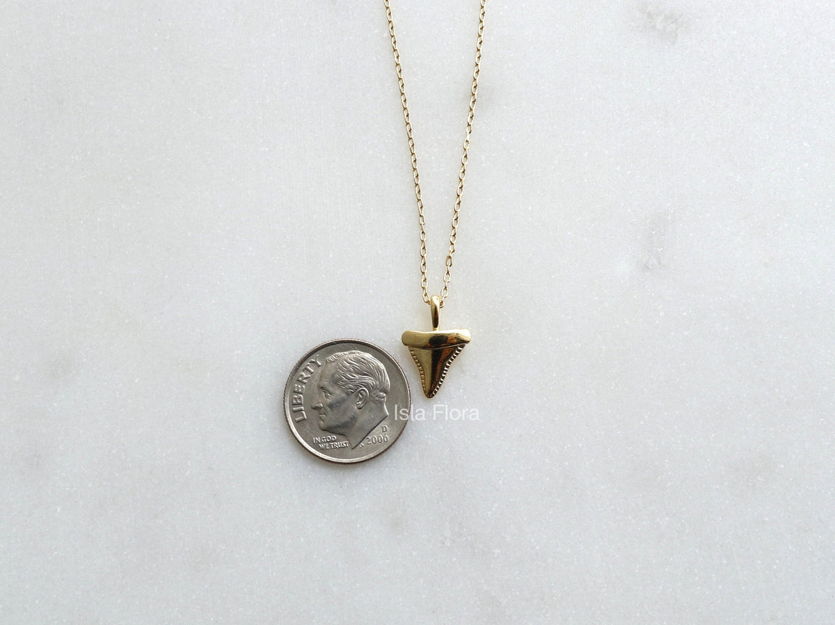 Isla Flora Dainty Shark Tooth Necklace