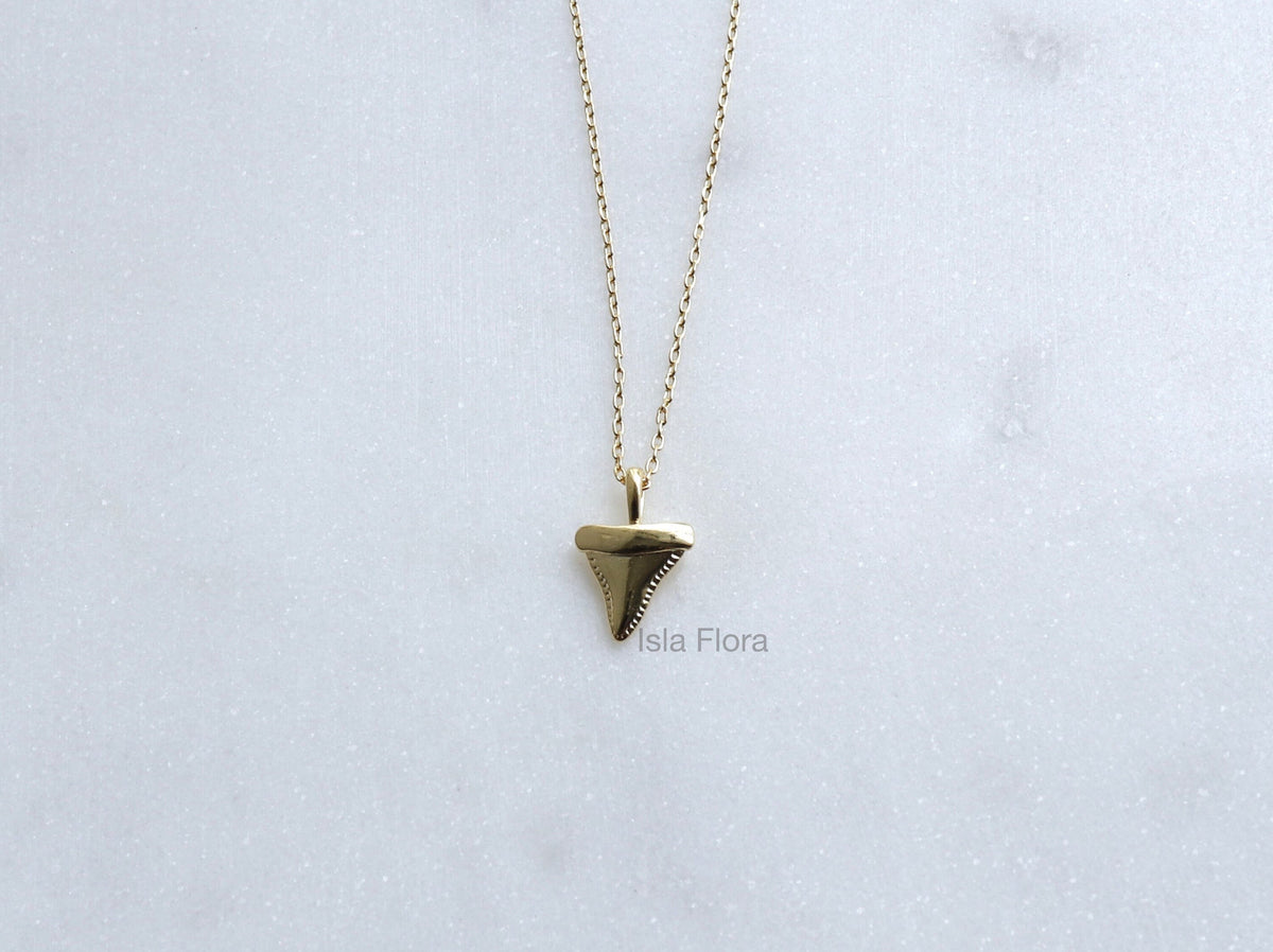 Isla Flora Dainty Shark Tooth Necklace